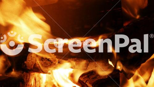 Burning Wood In The Fireplace   4 K